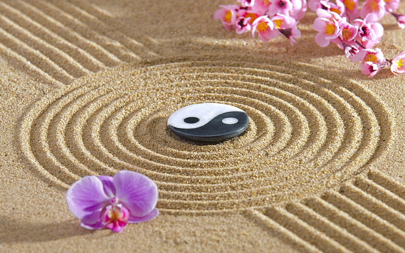 Yin-Yang-Symbol im Zen-Garten mit Sandmustern und rosa Orchideenblüten